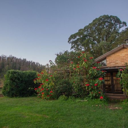 Stone Cottage Possum Brush المظهر الخارجي الصورة